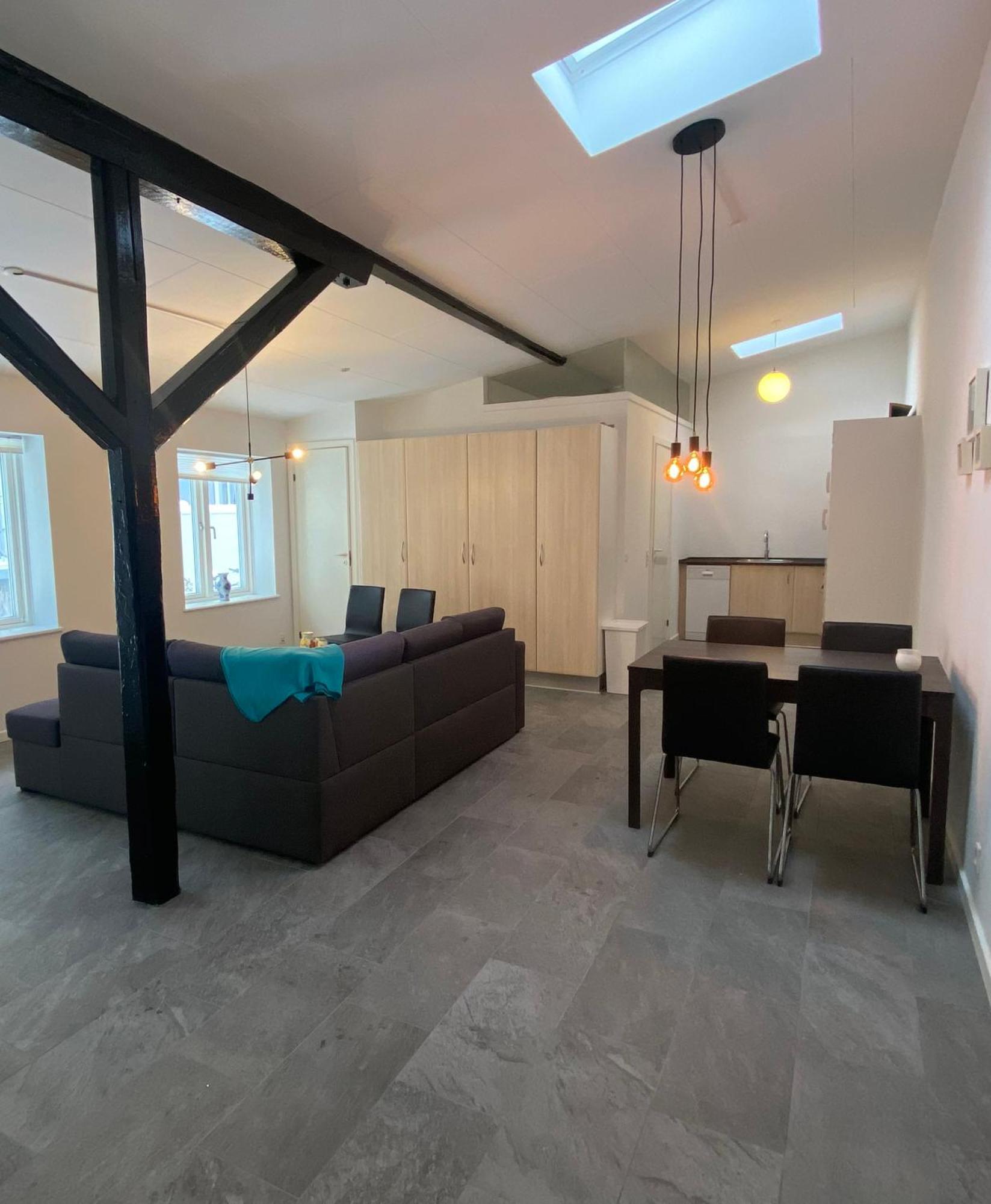 Charming - Luxurious 1 Bedroom Apartment In The Heart Of 奥尔堡 外观 照片